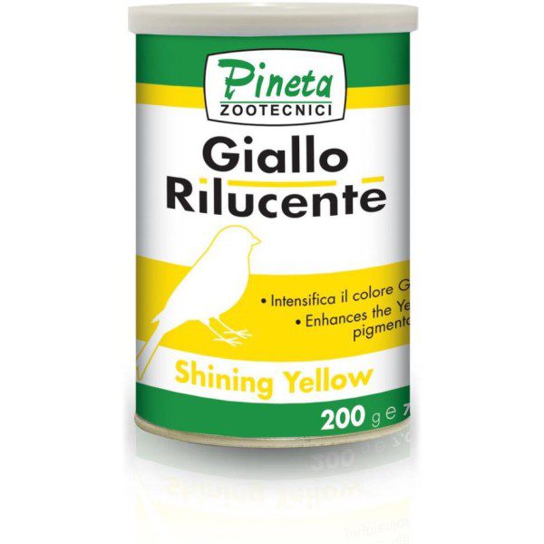 GIALLO RILUCIENTE 200GR