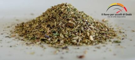 Heno Dodo para pájaros