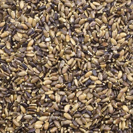 CANTO ALEGRE CARDO MARIANO 1kg