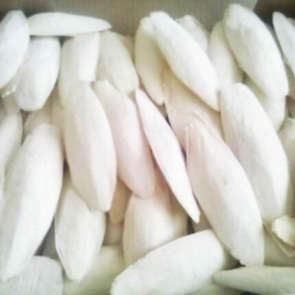 HUESO DE JIBIA 200gr