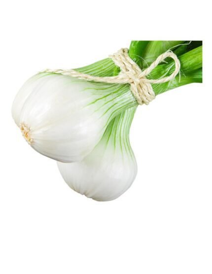 CEBOLLA BABOSA PACK 50 ECO