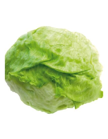 LECHUGA ICEBERG PACK 6 ECO