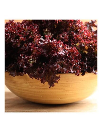 LECHUGA MULTIHOJA ROJA HOBBY FRES