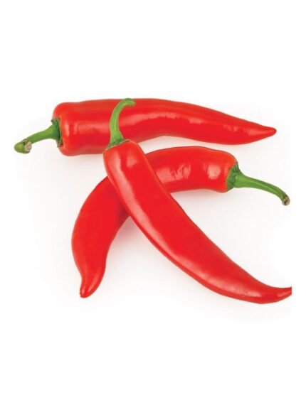 PIMIENTO PICANTE CHILE PACK 1