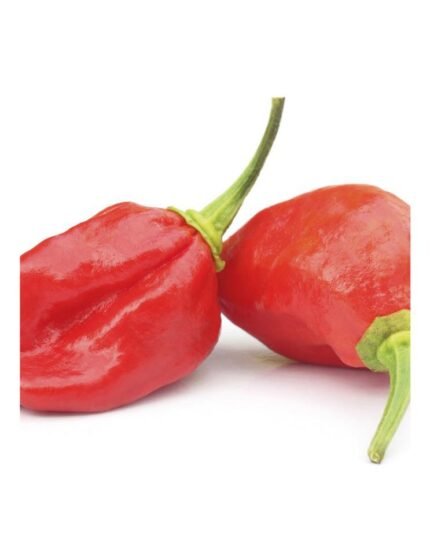 PIMIENTO PICANTE NAGA PACK 1