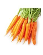 ZANAHORIA PACK 6 ECO