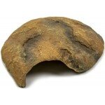 GIGANTERRA CUEVA Nº825